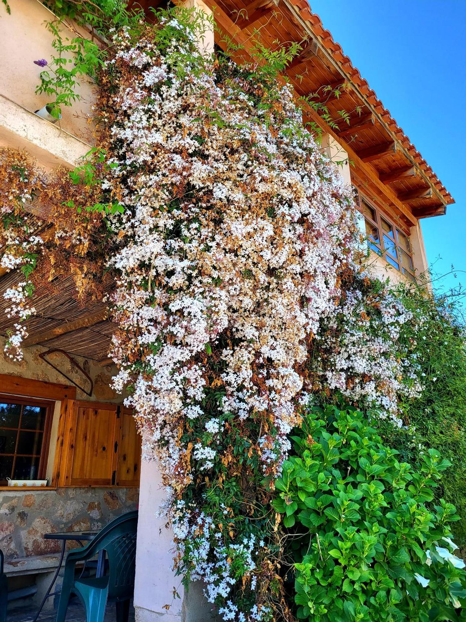 Casa Rural Balcon Del Camino Viejo Valencia de Alcántara Zewnętrze zdjęcie