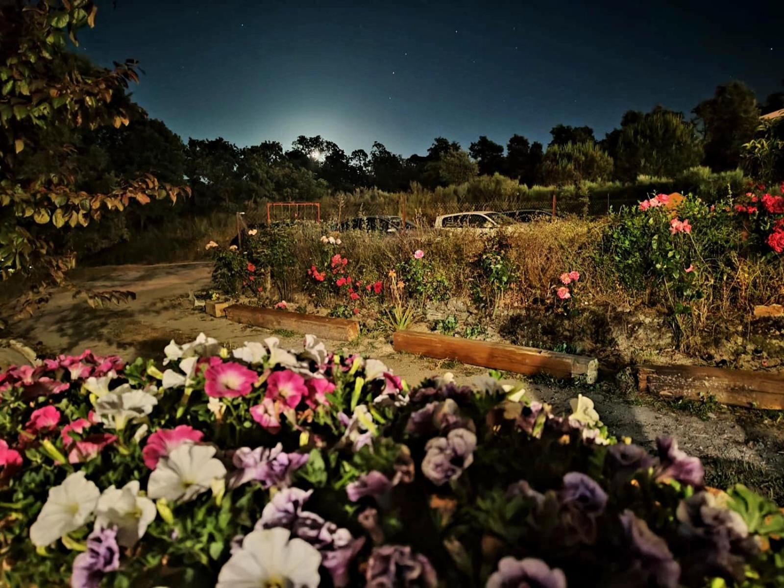 Casa Rural Balcon Del Camino Viejo Valencia de Alcántara Zewnętrze zdjęcie